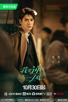 合肥新站区seo优化怎么样